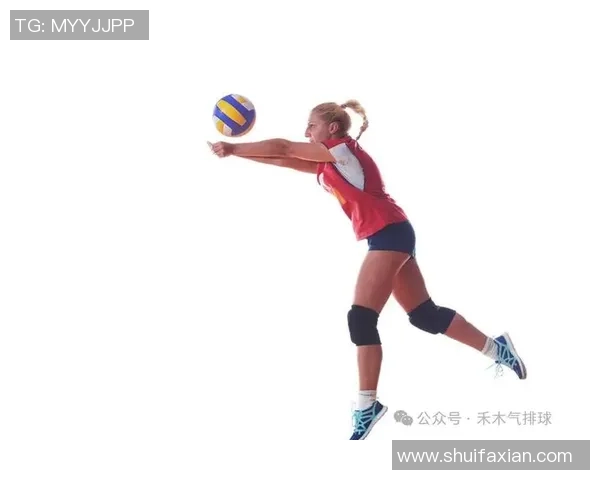 排球之美：深入成都排球队灵活性训练与战术解析